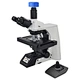 Motorized Automatic Biological Microscope