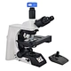 Motorized Automatic Biological Microscope